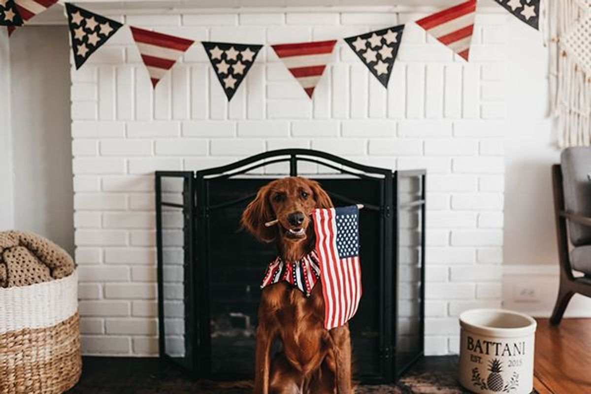 4th of July DOG WITH FLAG